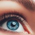 What Are the Characteristics of Round Eyes?